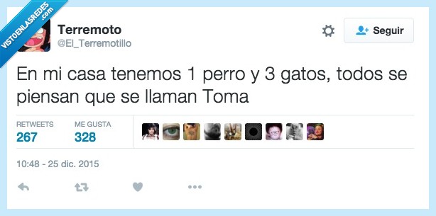 casa,perro,gato,todos,Toma,nombre,llamar