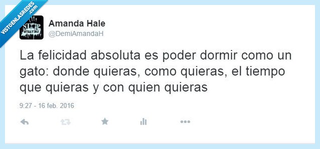 gato,dormir,querer,cuando,donde,siempre