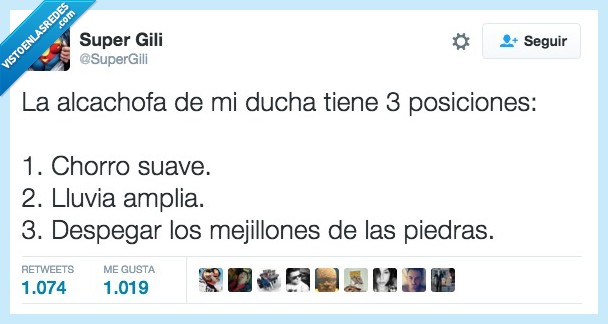 alcahofa,ducha,posiciones,chorro,suave,lluvia,presion,despegar,mejillones,piedras