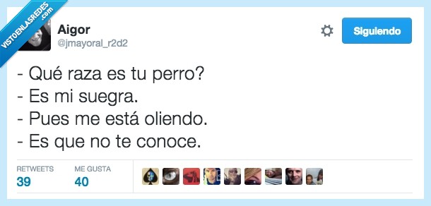 raza,perro,suegra,oler,conoce,desconocer,primera impresi&oacute;n