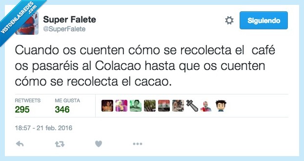 contar,como,recolectar,recoger,café,cacao,planta