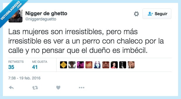 mujer,irresistible,perro,chaleco,calle,pensar,dueño