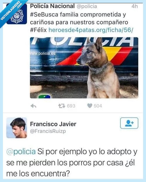 preguntar,perro,retirar,policía,encotrar,droga,buscar,Feliz,pastor aleman