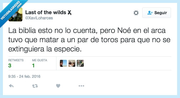 Biblia,toro,cuenta,Noe,arca,matar,par,todo,extinguir,especie,tauromaquia,excusa