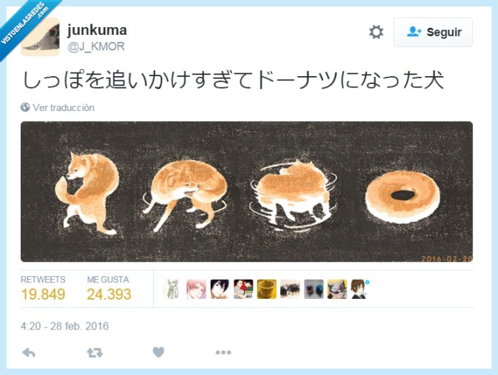 rosquilla,perro,japonés,humor,vueltas,cola,girar,donut