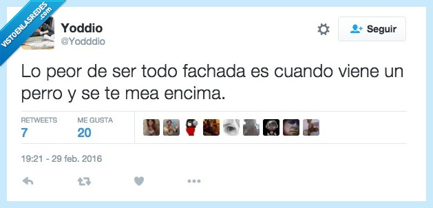 peor,ser,todo,fachada,cuando,perro,encima