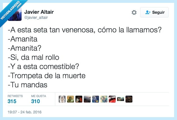 seta,venenosa,llamar,nombre,amanita,comestible,buena,veneno,trompeta de la muerte