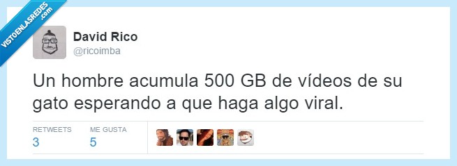 gato,viral,ricoimba,youtube,lol,risa,humor,500gb