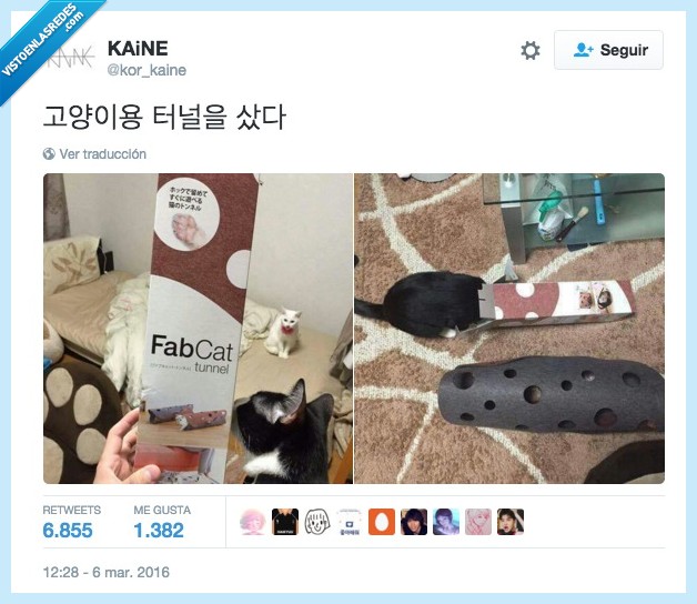 439497 - Cats will be cats :·3 por @ kor_kaine