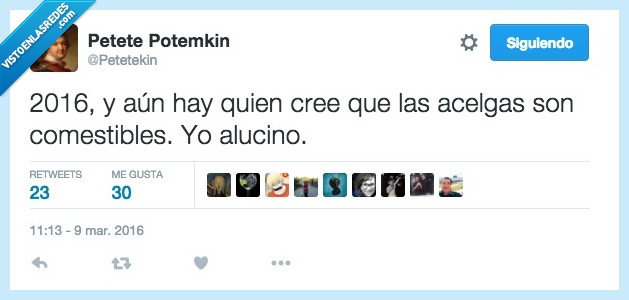 2016,gente,piensa,pensar,acelga,comestible