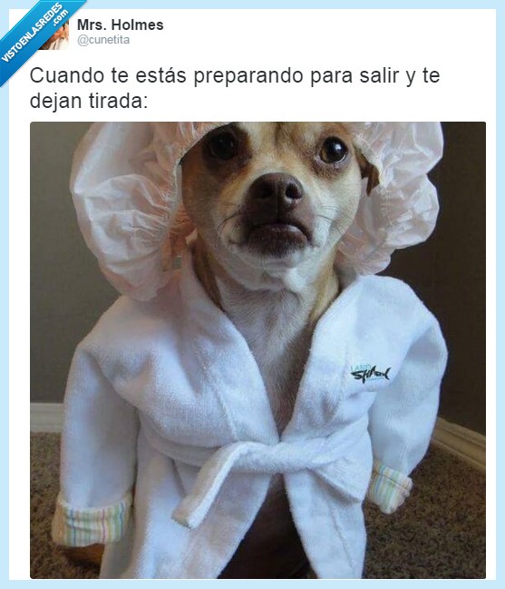 foto,salir,vida,humor,twitter,perro,risas,gracioso