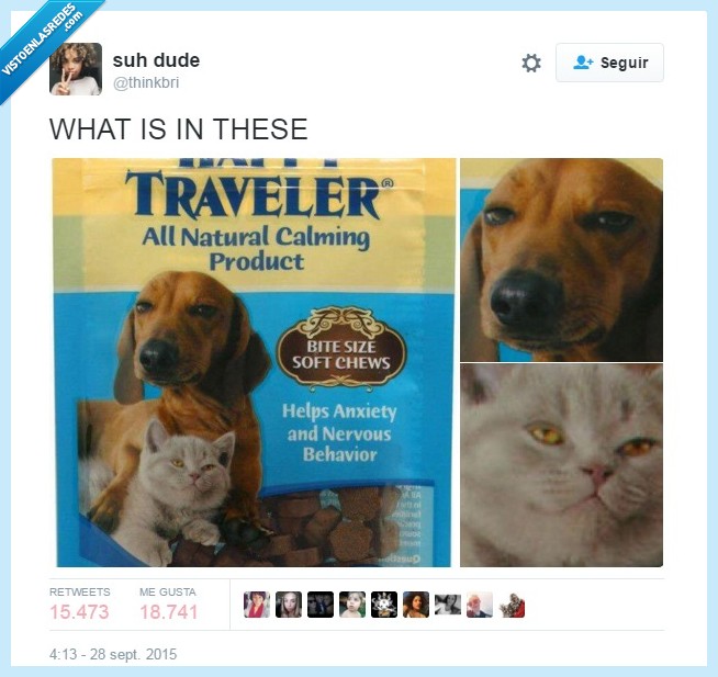 comida de animales,gato,perro,drogaos