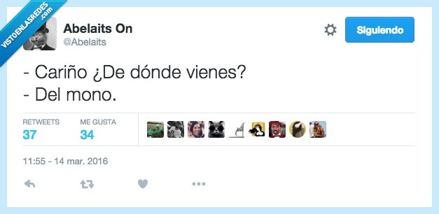 cariño,donde,vienes,venir,mono,evolución