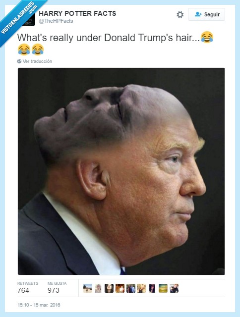 pelo,debajo,Donald Trump,Lord Voldemort,Harry Potter,Profesor Quirrell