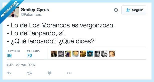 Morancos,vergonzoso,leopardo,sí,caza,Cesar Cadaval