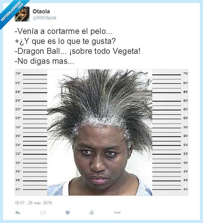 peluquería,dragon ball,vegeta,tinte,pelo,mugshot,policía