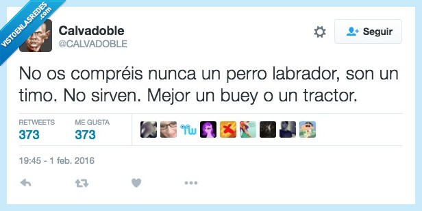 comprar,perro,labrador,timo,buey,tractor