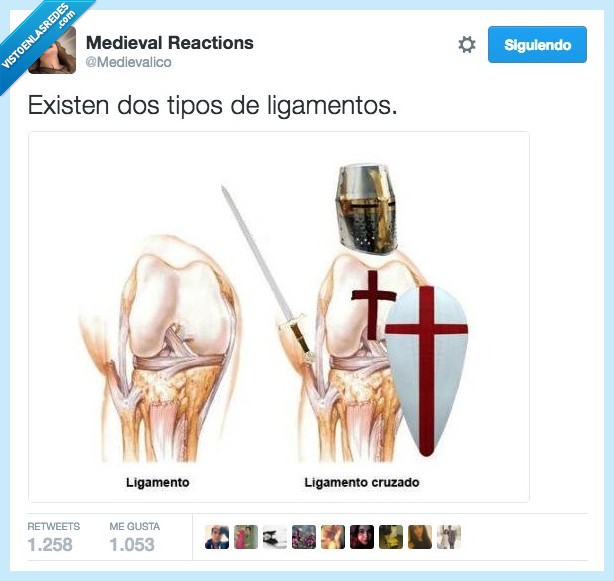tipo,ligamento,cruzado,normal,templario