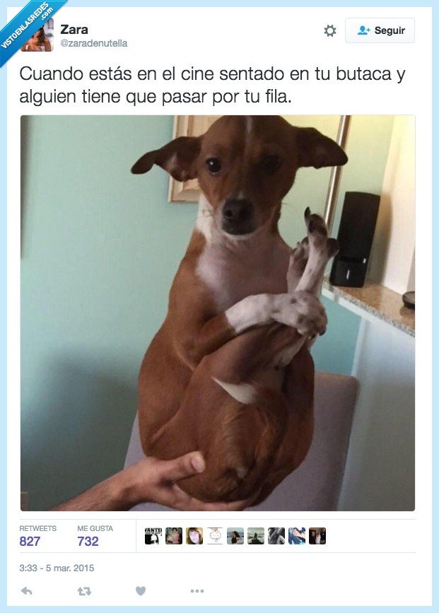 441391 - Perdona... Ay... Perdón... Lo siento... por @zaradenutella