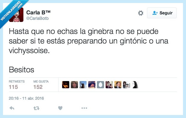 echar,ginebra,saber,gintonic,vichyssoise,gin tonic