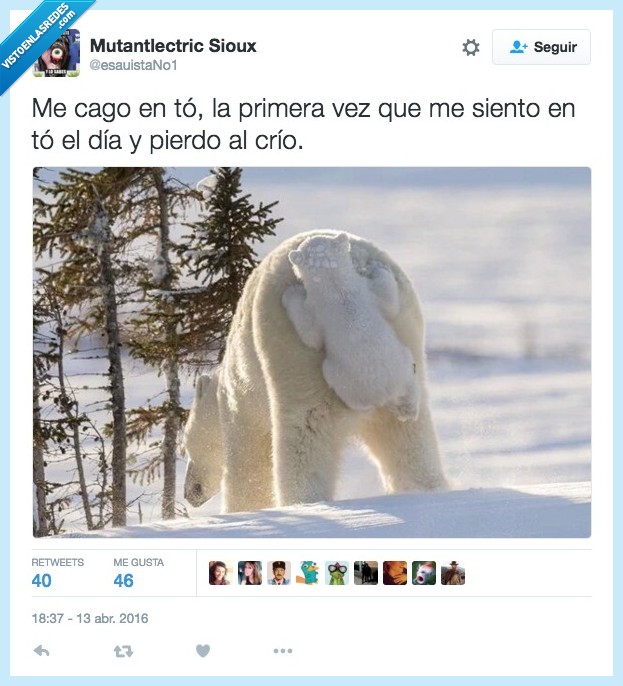primera,vez,siento,dia,pierdo,crio,niño,oso,osezno,osa,polar,nieve
