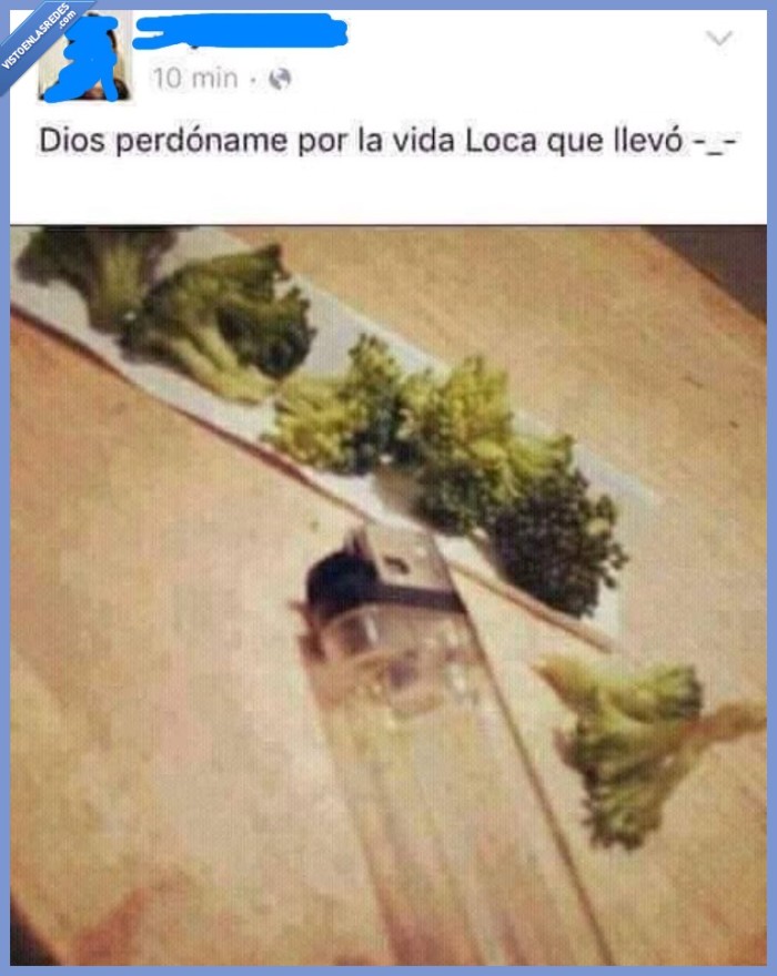 brocoli,fumar,dios,perdoname,vida,loca,llevo,porro,mechero