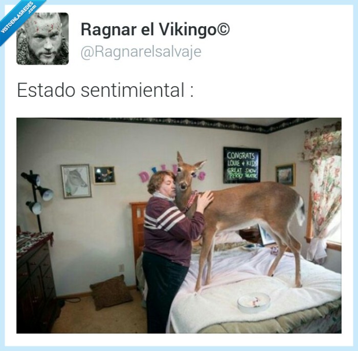 ciervo,amor,situacion,sentimental,enamorado,señora,abrazar,cariño,forever alone