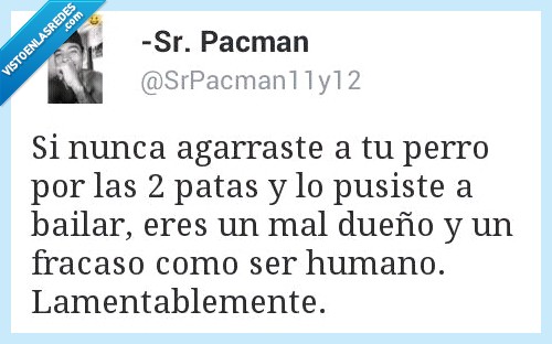 nunca,agarrar,perro,patas,dos,poner,bailar,dueño,humano,fracaso,lamentablemente