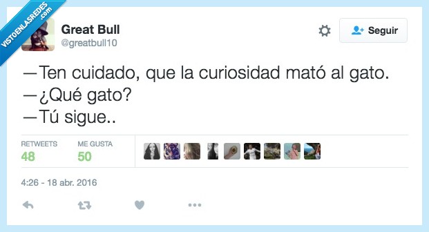 cuidado,curiosidad,mato,matar,preguntar,gato,qué gato,sigue