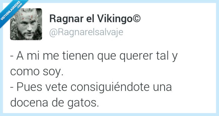 querer,tal,como,soy,docena,gatos,soledad