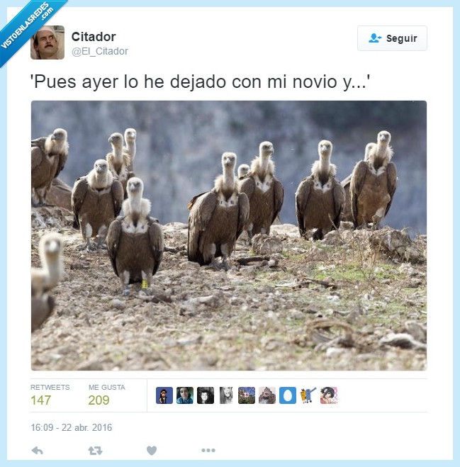 Ruptura,novio,buitres,El Citador,¡Al turrón!