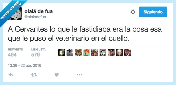 cervantes,fastidiar,cosa,cuello,veterinario,collarín,petro,medico