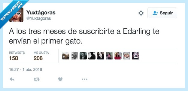 edarling,meses,envian,enviar,primer,gato