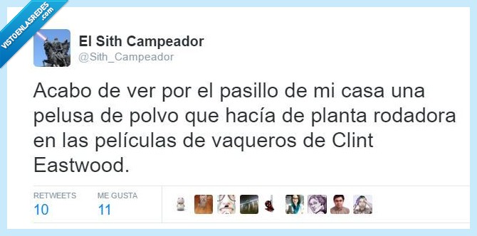 pelusa,polvo,casa,lejano oeste,planta rodadora