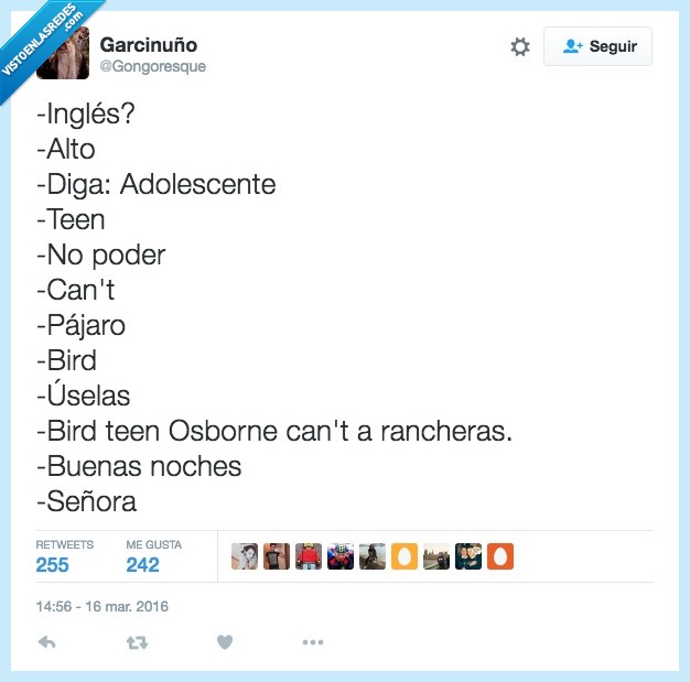 bird,teen,adolescente,osborne,Bertín Osborne,rancheras,buenas noches,señora