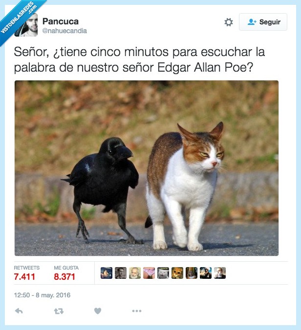 cuervo,gato,señora,minutos,escuchar,palabra,señor,Edgar Allan Poe