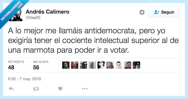 mejor,llamas,llamar,antidemocrata,votar,derecho,cociente,intelectual,superior,tonto,listo,marmota,democracia