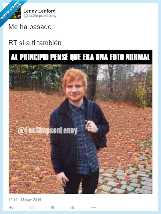 Ed Sheeran,imagen,no me había fijado,hojas,suelo,cara duplicada,camuflaje,otoño