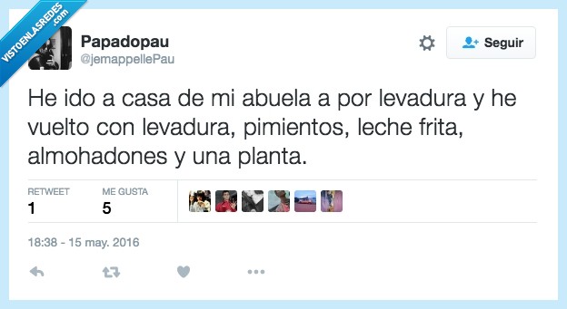 abuela,levadura,llevar,traer,leche frita,comida,almohadones,planta,casa,visita