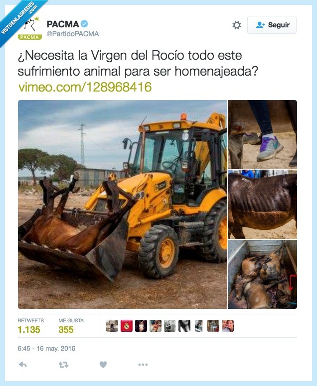 rocío,caballo,sufrimiento,animal,herida,muerte,excavadora,agotamiento