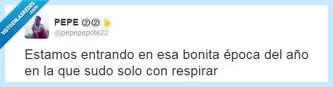 sudor,calor,verano,Murcia,asqueroso,sudar,respirar