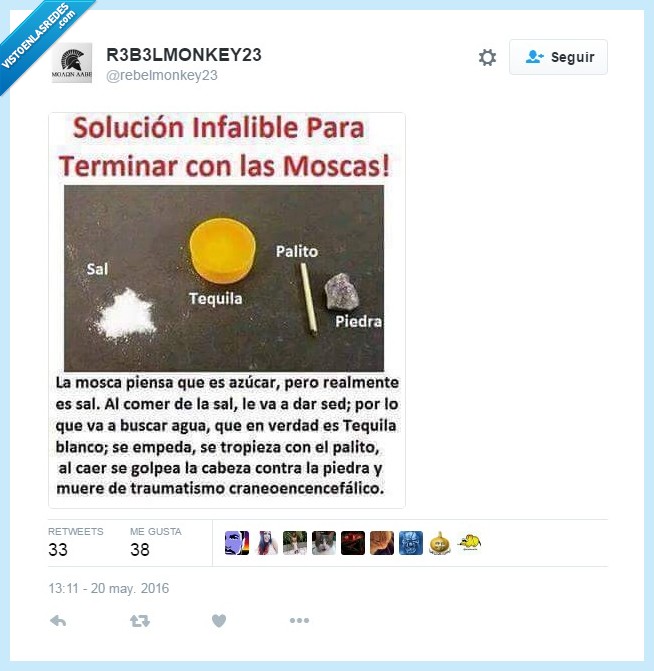 mosca,pedo,matar,borracha,piedra,tequila,sal,azúcar,esto funciona fijo