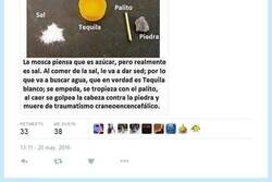 Enlace a Porque lo del matamoscas es para noobs por @rebelmonkey23