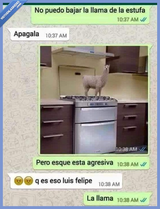 bajar,llama,estufa,fuego,madre,cocina,Luis Felipe