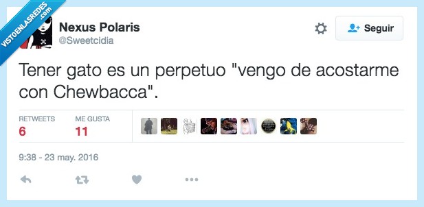 gato,perpetuo,acostar,chewbacca,pelos