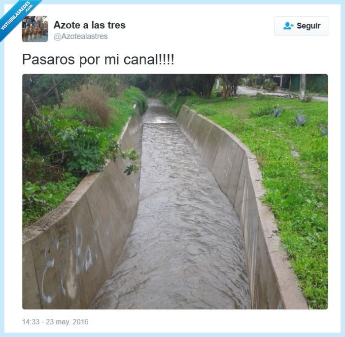 canal,agua,pasaros,pasaos,youtube