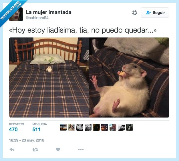 liadisima,tia,hoy,rata,raton,cama,comer,entretenida,paso de ti