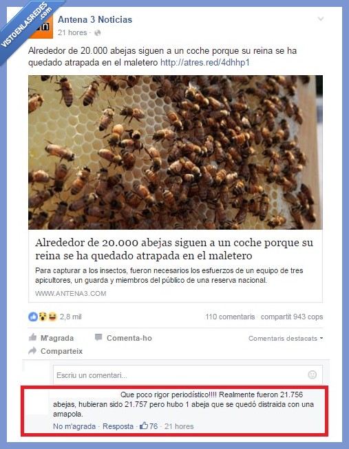 Facebook,Antena3 Noticias,Abejas,Comentario,Reina