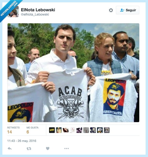 ciudadanos,Albert rivera,acab,cats,beautiful,Venezuela