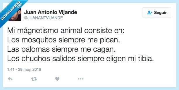 magnetismo animal,cagadas de paloma,chuchos salidos,mosquitos